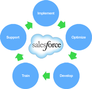 Salesforce Development Company in Canada